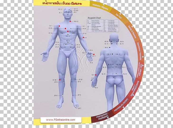 Cellulite Migraine Disease Muscle Symptom PNG, Clipart, Action Figure, Arm, Asthma, Cellulite, Cough Free PNG Download