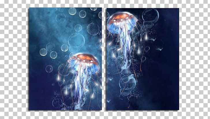 Jellyfish Desktop 1080p High-definition Television High-definition Video PNG, Clipart, 4k Resolution, 720p, Box, Computer, Computer Wallpaper Free PNG Download