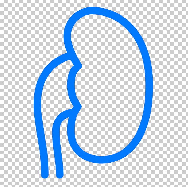 Kidney Computer Icons PNG, Clipart, Area, Circle, Computer Icons, Kidney, Kidney Bean Free PNG Download