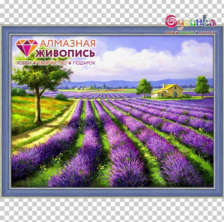 Oil Painting English Lavender Landscape Painting Art PNG, Clipart, Art, Canvas, Crop, English Lavender, Fin Free PNG Download