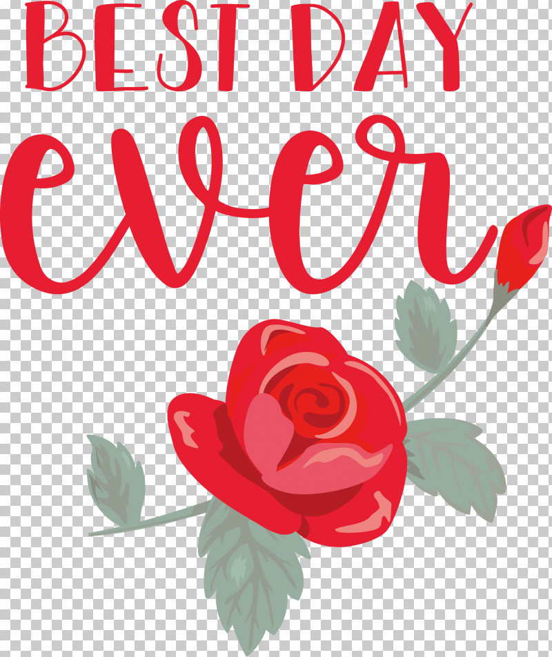 Best Day Ever Wedding PNG, Clipart, Best Day Ever, Cut Flowers, Drawing, Floral Design, Flower Free PNG Download
