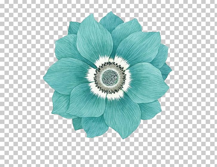 Flower Blue Sky Blue Version2016 Green PNG, Clipart, Blue, Blue Rose, Blue Sky Blue Version2016, Cut Flowers, Flowering Plant Free PNG Download