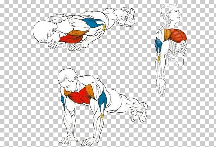 Push-up Exercise Triceps Brachii Muscle Dumbbell Fitness Centre PNG, Clipart, Arm, Art, Barbell, Bench Press, Biceps Free PNG Download