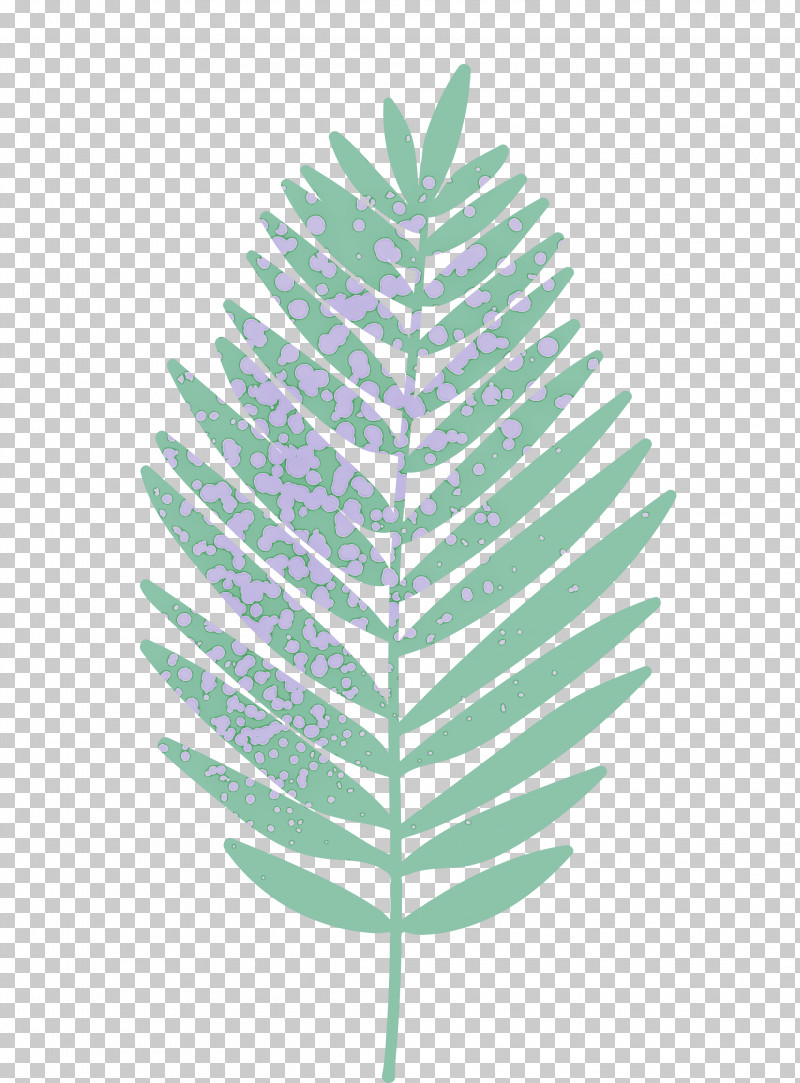 Palm Trees PNG, Clipart, Branch, Dandelion, Fern, Goniophlebium, Leaf Free PNG Download