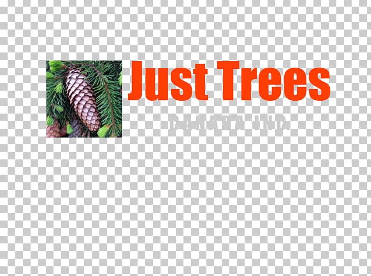 Logo Brand Font Product Just Trees Canada Inc. PNG, Clipart, Brand, Canada, Home Page, Just Trees Canada Inc, Logo Free PNG Download