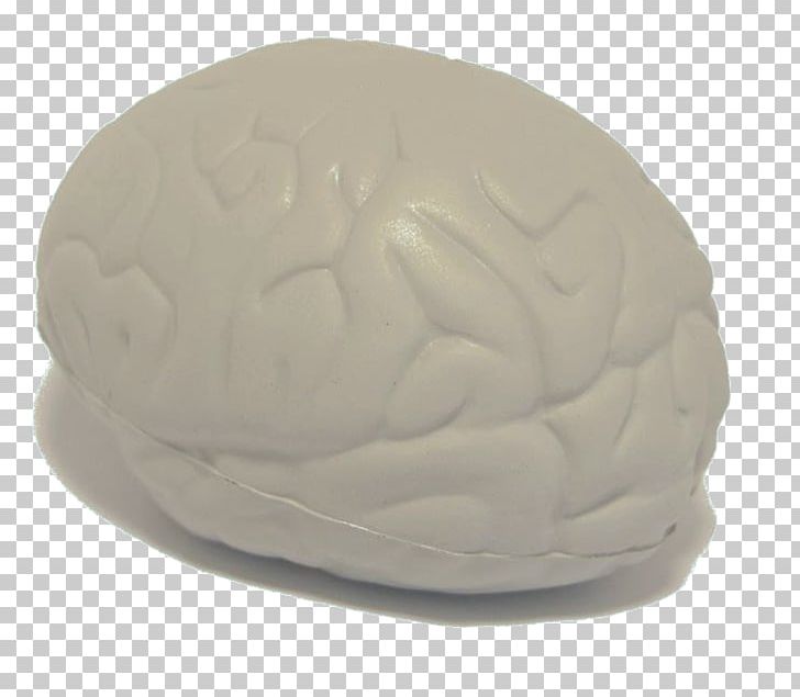 Stress Ball Brain Toy PNG, Clipart, Anxiety, Autism, Autistic Spectrum Disorders, Ball, Beach Ball Free PNG Download