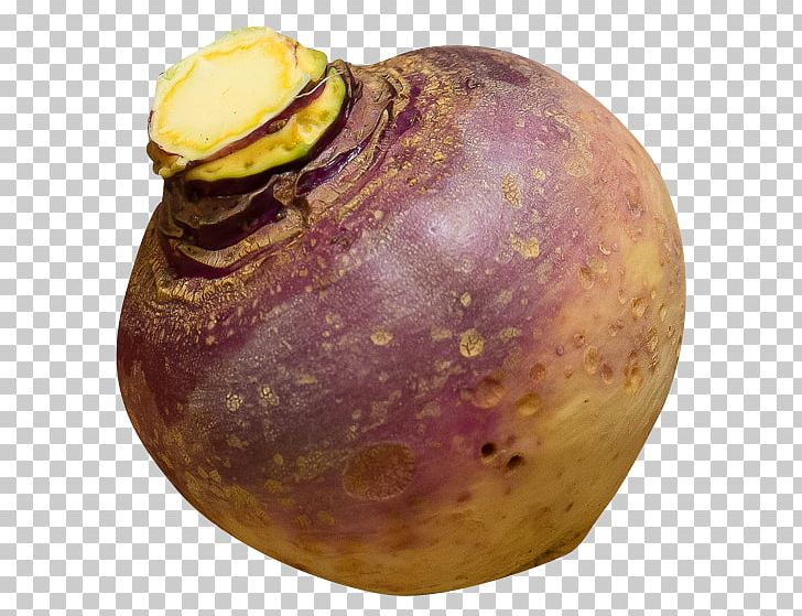 Turnip Rutabaga Daikon PNG, Clipart, Brassica Napobrassica, Cabbage, Cauliflower, Daikon, Food Free PNG Download