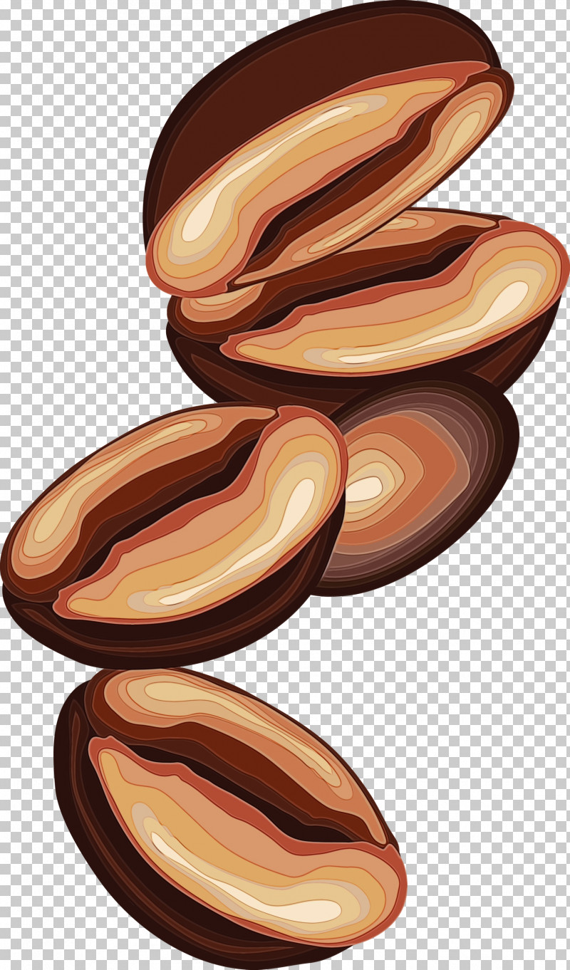 Wood Food Plant Nut PNG, Clipart, Coffee, Food, Nut, Paint, Plant Free PNG Download