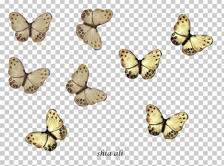 Brush-footed Butterflies Shia Islam Drawing Pieridae Moth PNG, Clipart, 10 December, Ali, Brush Footed Butterfly, Butterfly, Deviantart Free PNG Download