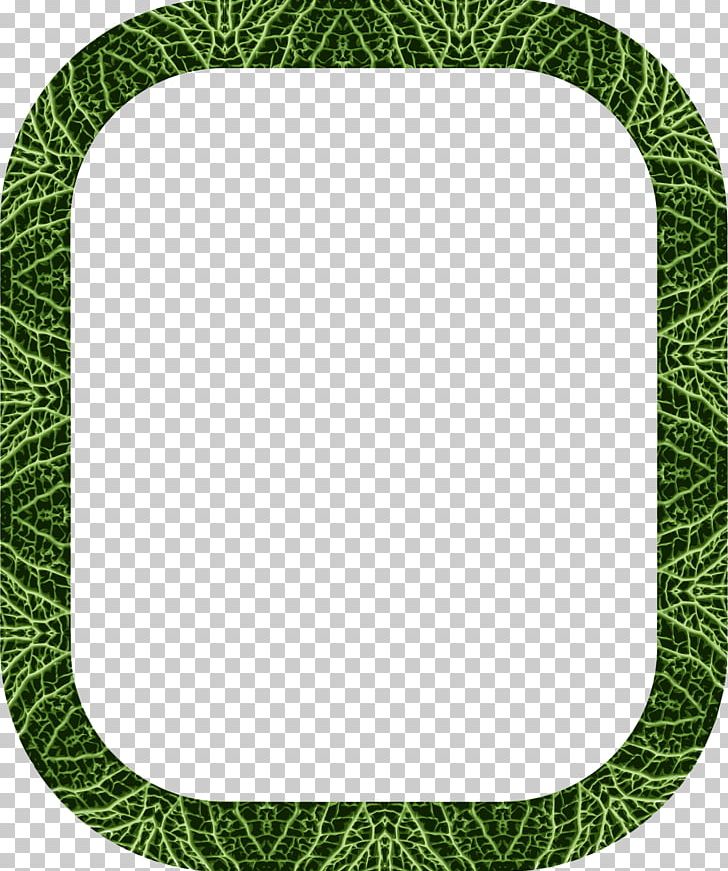 Cabbage Frames Egypt PNG, Clipart, Area, Cabbage, Circle, Color, Decorative Arts Free PNG Download