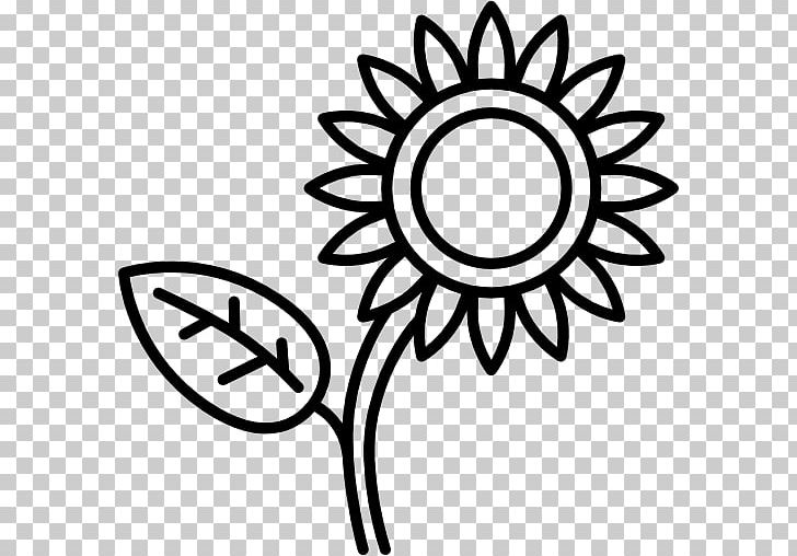 Computer Icons Common Sunflower PNG, Clipart, Artwork, Black, Black And White, Circle, Common Sunflower Free PNG Download