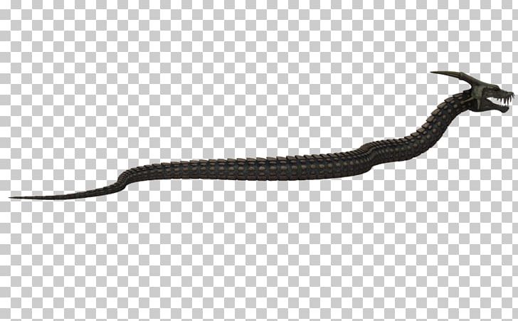 Reptile PNG, Clipart, Reptile Free PNG Download