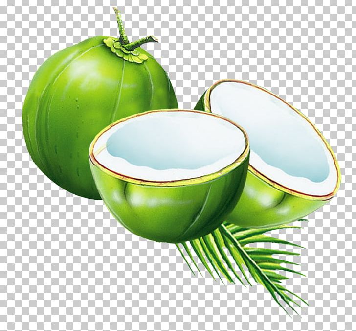 Coconut Water Juice Coconut Milk Powder PNG, Clipart, Arecaceae, Ash, Ceramic, Coco, Coconut Free PNG Download