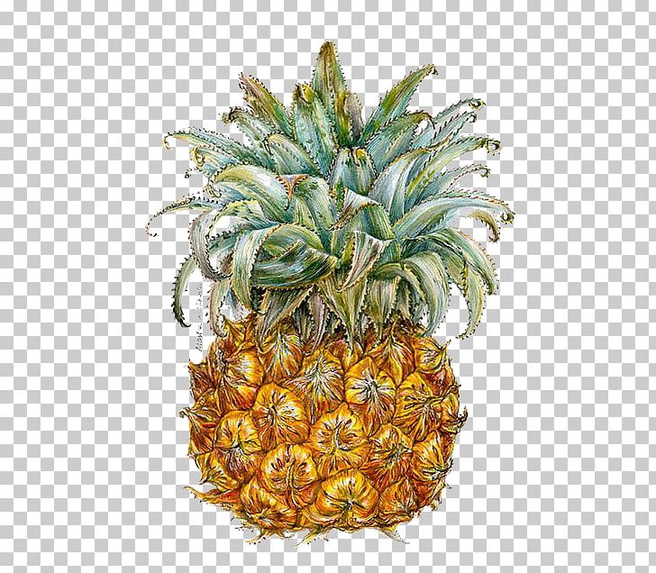 Pineapple Berry Illustrator Illustration PNG, Clipart, Adobe Illustrator, Ananas, Big, Cartoon, Deductible Free PNG Download