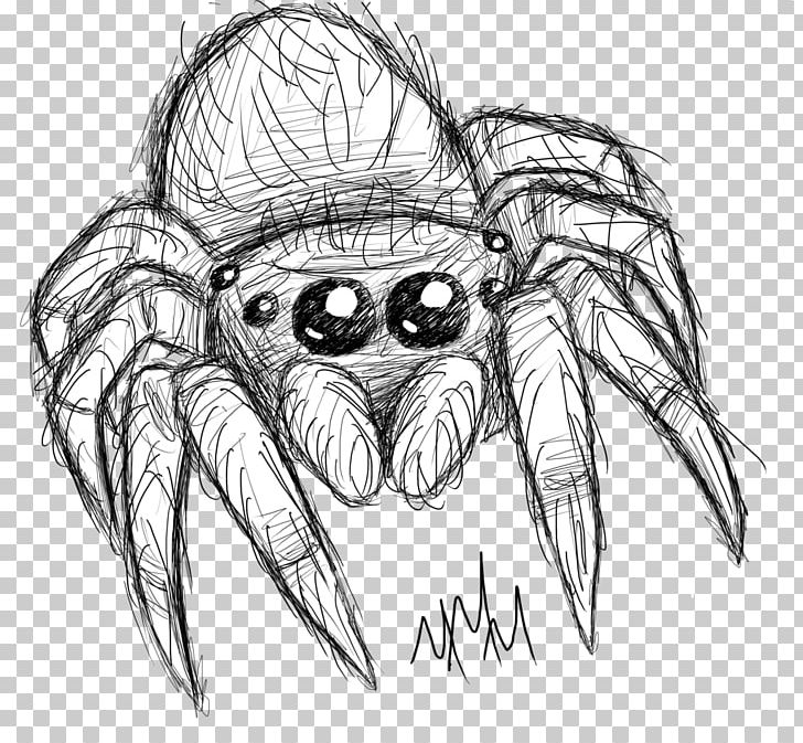 Spider Line Art Drawing Sketch PNG, Clipart, Arachnid, Art, Artwork, Black And White, Crab Free PNG Download