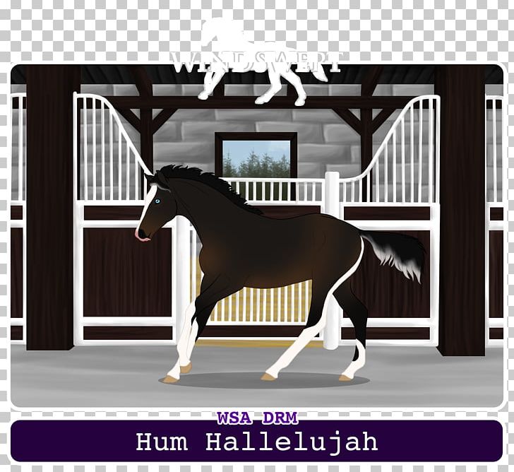 Stallion Bridle Mustang Hunt Seat Foal PNG, Clipart, Bridle, English Riding, Equestrian Sport, Foal, Hallelujah Free PNG Download