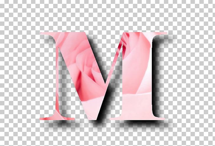 Brand Pink M PNG, Clipart, Brand, Multiscale Camouflage, Pink, Pink M, Text Free PNG Download