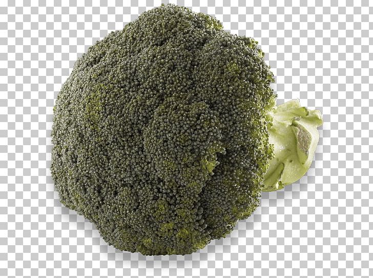 Broccoli PNG, Clipart, Broccoli, Leaf Vegetable, Superfood, Vegetables Free PNG Download