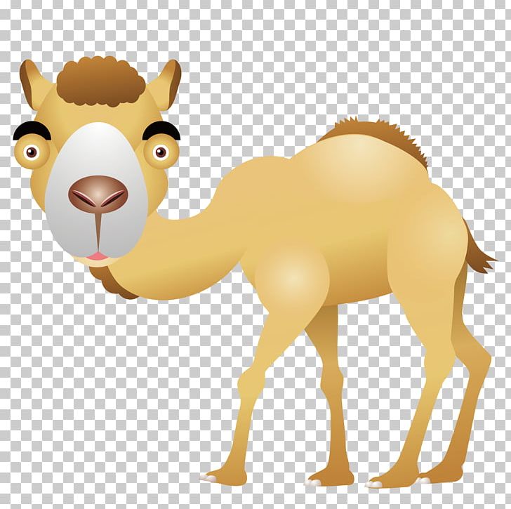 Camel Desert Computer File PNG, Clipart, Adobe Illustrator, Animals, Arabian Camel, Arizona Desert, Camel Vector Free PNG Download
