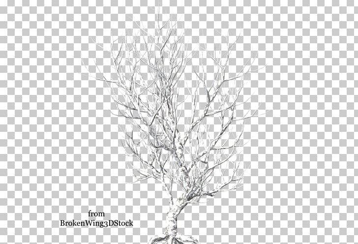 Light Black And White Line Art PNG, Clipart, Black, Black And White, Branch, Camera, Camera Lens Free PNG Download