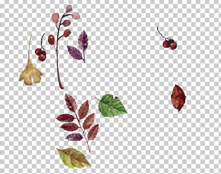 Watercolor Painting Autumn Deciduous PNG, Clipart, Autumn Leaves, Branch, Crayon, Drawing, Drawing Material Free PNG Download