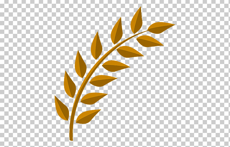 Fern PNG, Clipart, Fern, Flower, Grass Family, Leaf, Plant Free PNG Download