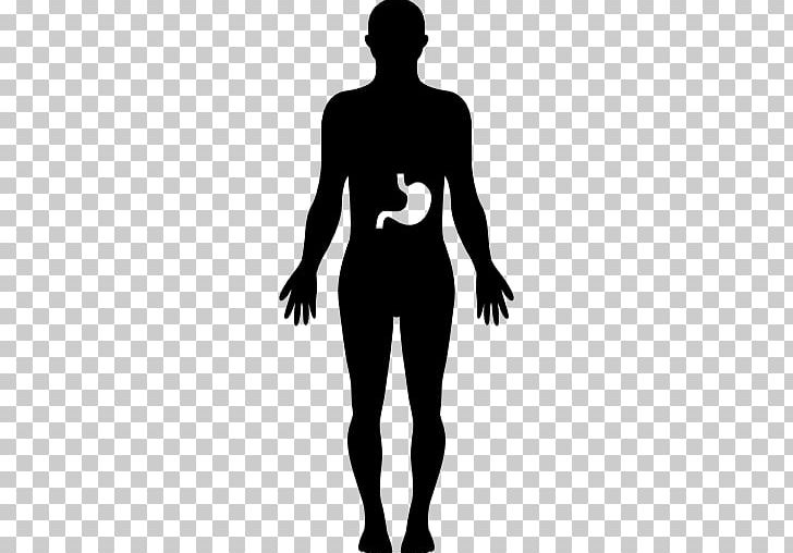 Human Body Homo Sapiens Anatomy PNG, Clipart, Abdomen, Anatomy, Arm, Back, Black Free PNG Download