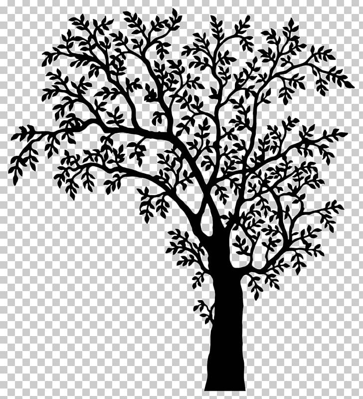 AutoCAD DXF PNG, Clipart, Black And White, Branch, Computer Icons, Download, Flora Free PNG Download