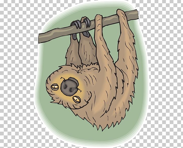 Sloth Amazon Rainforest Baby Jungle Animals Baby Koala PNG, Clipart, Animal, Arm, Art, Baby Jungle Animals, Baby Koala Free PNG Download