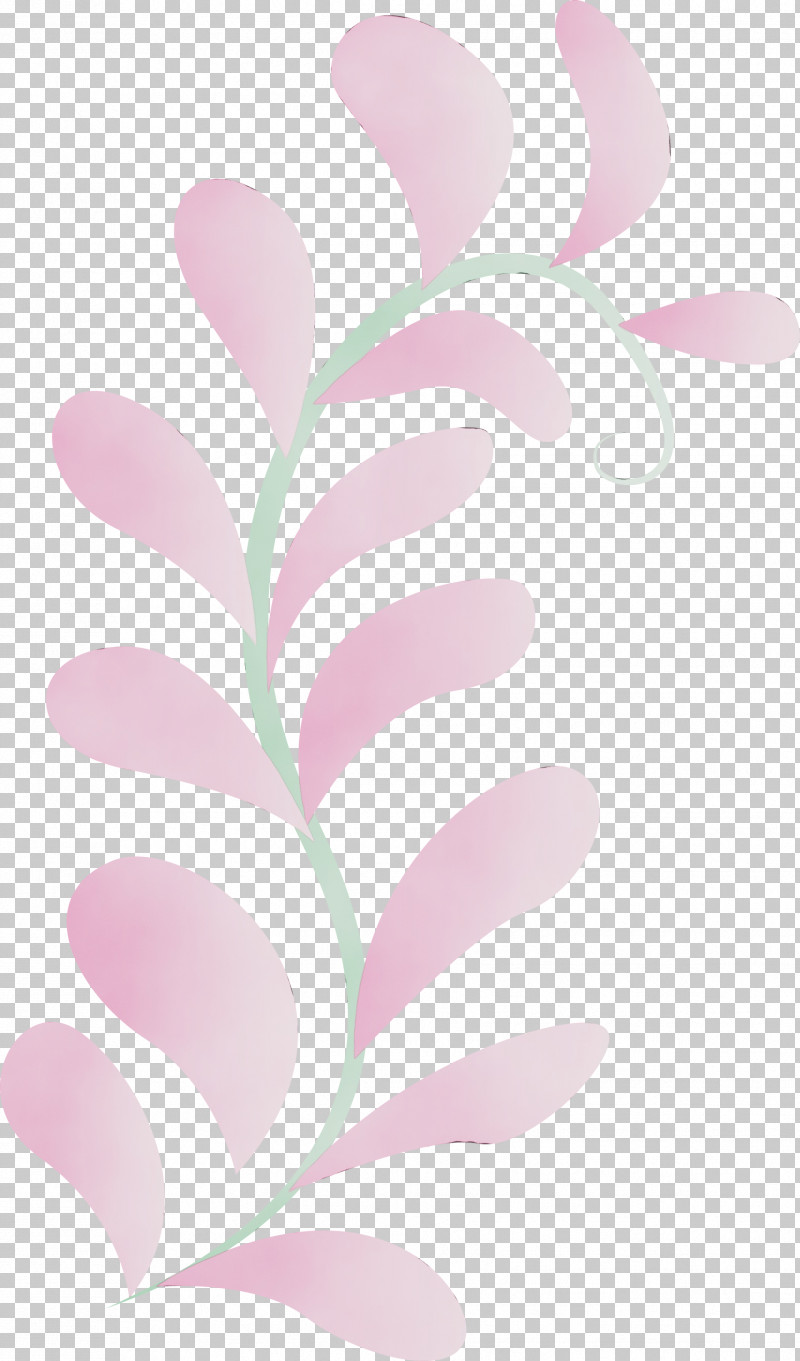 Petal Pattern Pink M Meter M PNG, Clipart, M, Meter, Paint, Petal, Pink M Free PNG Download