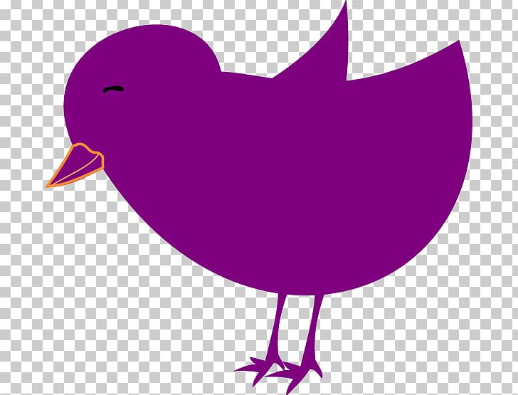 Chicken PNG, Clipart, Artwork, Beak, Bird, Cartoon, Chicken Free PNG Download