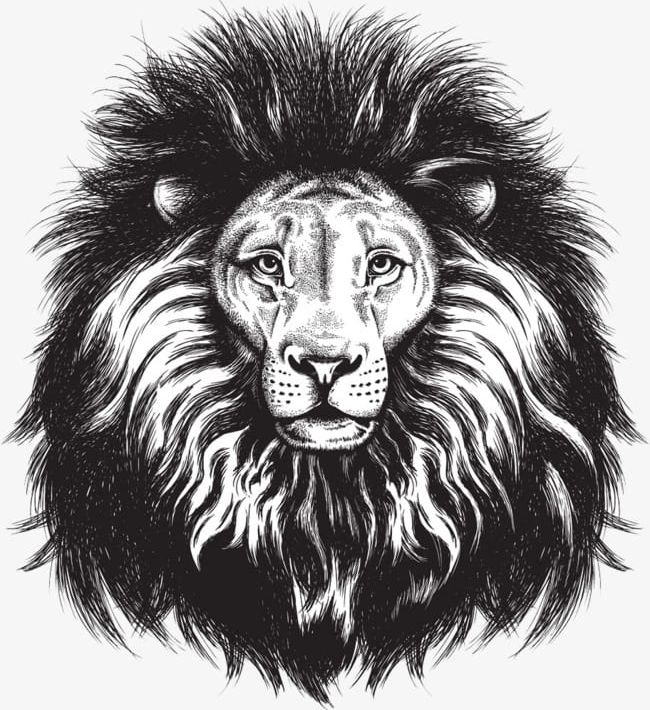 Painted Lion Head PNG, Clipart, Animal, Animal Head, Animals, Animals In The Wild, Black And White Free PNG Download