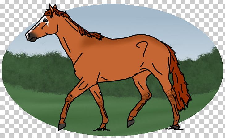 Mule Foal Stallion Mare Colt PNG, Clipart, Animal, Bridle, Colt, Foal, Grass Free PNG Download