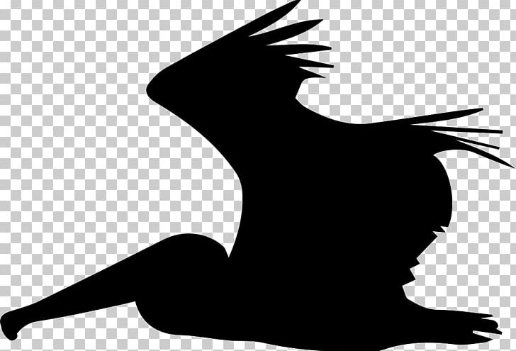 Pelican Computer Icons Bird PNG, Clipart, Animal, Animals, Beak, Bird, Black And White Free PNG Download