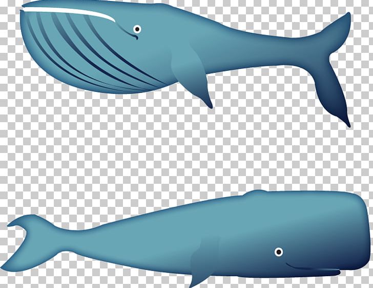 Squaliformes Requiem Shark Shark Fin Soup Euclidean PNG, Clipart, Animals, Big Shark, Blue, Blue Shark, Cartilaginous Fish Free PNG Download