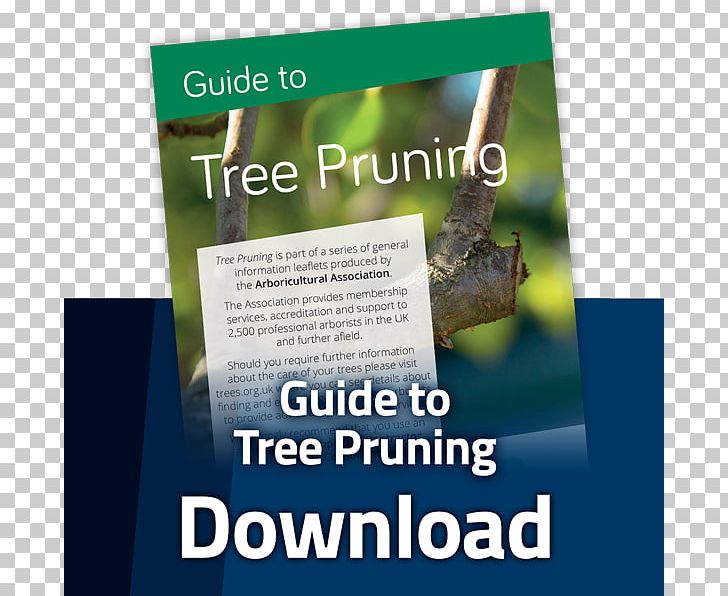 Tree Arboriculture Pruning Product Arboricultural Association PNG, Clipart, Advertising, Arboriculture, Brand, Brochure, Grass Free PNG Download