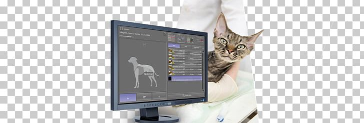 Digital Radiography Computed Radiography DICOM Veterinary Medicine PNG, Clipart, Automatic Exposure Control, Communication, Computed Radiography, Computer, Computer Software Free PNG Download