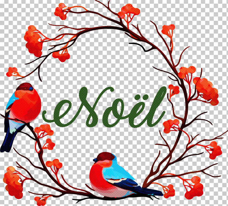 Noel Xmas Christmas PNG, Clipart, Birds, Christmas, Eurasian Bullfinch, European Robin, Floral Design Free PNG Download