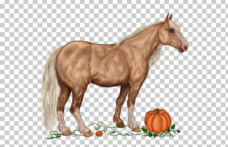 American Paint Horse Mustang French Trotter Howrse Akhal-Teke PNG, Clipart, Balloon Cartoon, Boy Cartoon, Cartoon Character, Cartoon Couple, Cartoon Eyes Free PNG Download