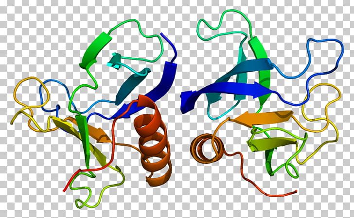 DNM1 Gene Protein Dynamin Rho Family Of GTPases PNG, Clipart, Antibody, Area, Art, Artwork, Disorder Free PNG Download