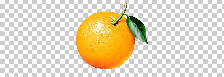 Orange PNG, Clipart, Orange Free PNG Download