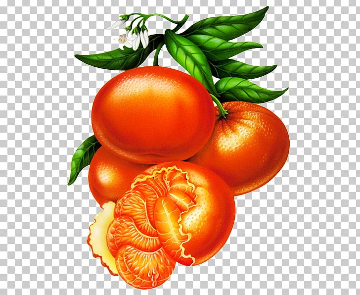 Plum Tomato Mandarin Orange Decoupage Illustration PNG, Clipart, Cartoon, Citrus, Decoupage, Food, Fruit Free PNG Download