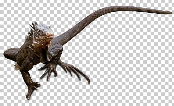 Reptile Lizard Common Iguanas PNG, Clipart, Animal Figure, Animals, Common, Common Iguanas, Dinosaur Free PNG Download