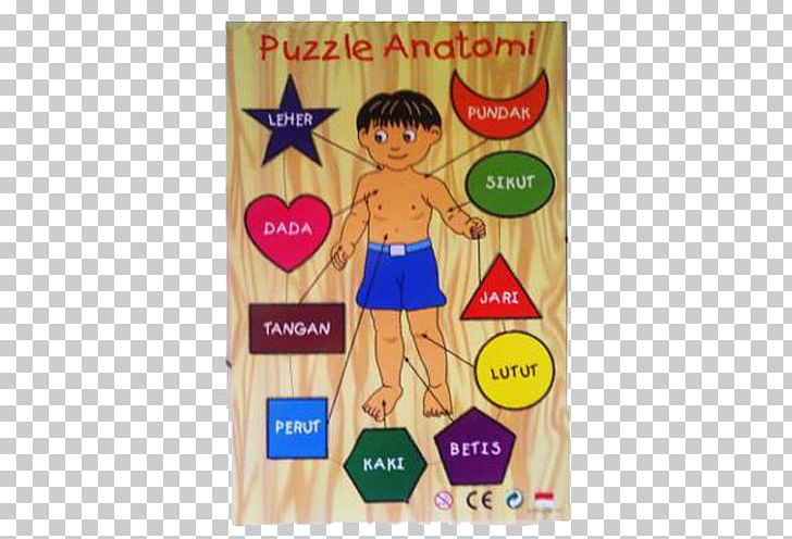 Toy Game Child Play Motor Skill PNG, Clipart, Age, Anatomi, Anatomy, Animal, Body Free PNG Download