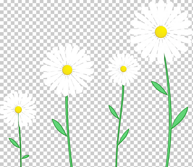 Grasses Plant Stem Leaf Yellow Flower PNG, Clipart, Commodity, Computer, Daisy, Flower, Gerbera Free PNG Download