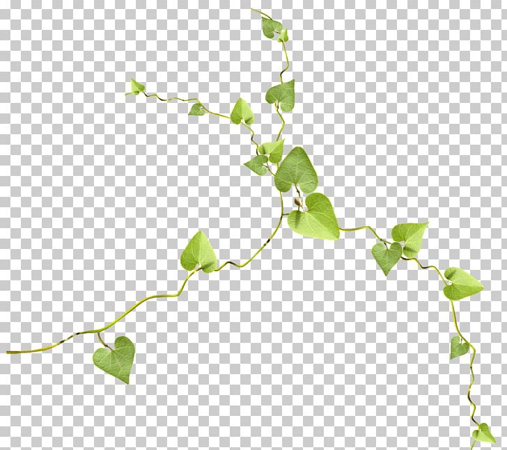 Twig Leaf Portable Network Graphics Branch PNG, Clipart, Branch, Download, Encapsulated Postscript, Flora, Green Free PNG Download