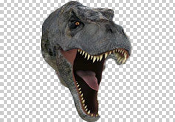 Tyrannosaurus Velociraptor Jurassic Park: The Ride Jaw PNG, Clipart, Dinosaur, Jaw, Jurassic Park The Ride, Others, Snout Free PNG Download