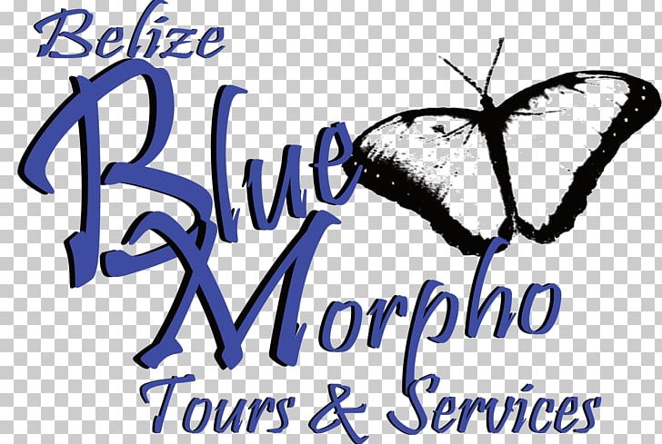 Belize Blue Morpho Tours And Services Blue Morpho Ayahuasca Center Belize Zoo Maya Civilization Xunantunich PNG, Clipart, Adventure, Belize, Blue, Brand, Butterfly Free PNG Download