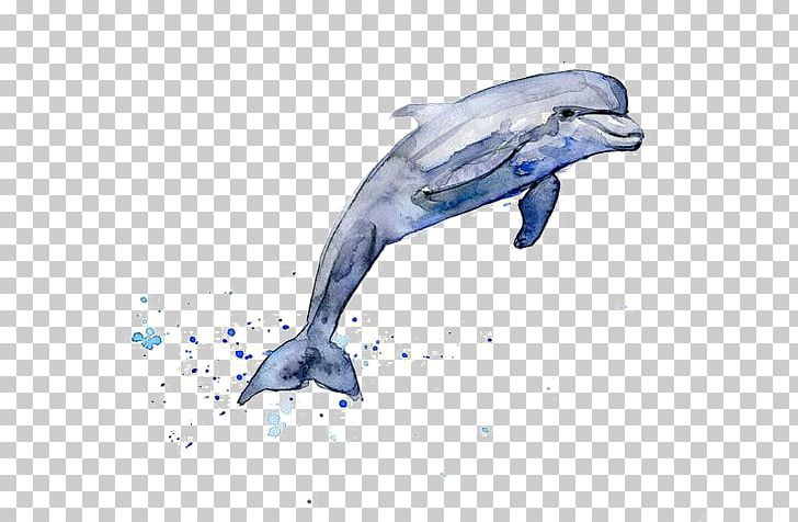 Drawing Dolphin Watercolor Painting PNG, Clipart, Animals, Blue, Bottlenose Dolphin, Cetacea, Color Free PNG Download