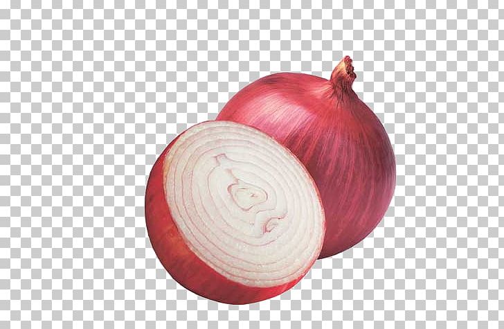 Onion Hair Loss Botak Hair Care PNG, Clipart, Allium, Botak, Feather, Fig, Food Free PNG Download